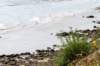 normandi2021_079_small.jpg