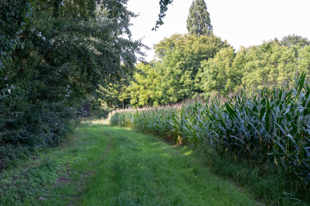 normandi2021_081.jpg