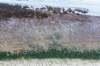 normandi2021_119_small.jpg