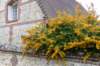 normandi2021_210_small.jpg
