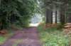 normandi2021_224_small.jpg