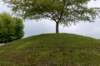 normandi2021_228_small.jpg