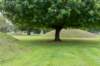 normandi2021_229_small.jpg