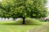 normandi2021_230_small.jpg