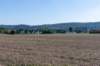 normandi2021_249_small.jpg
