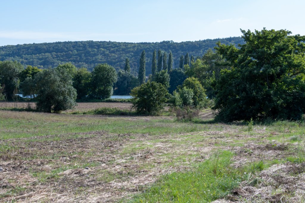 normandi2021_256.jpg