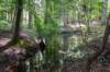 ommen_001_small.jpg
