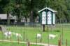 ommen_003_small.jpg