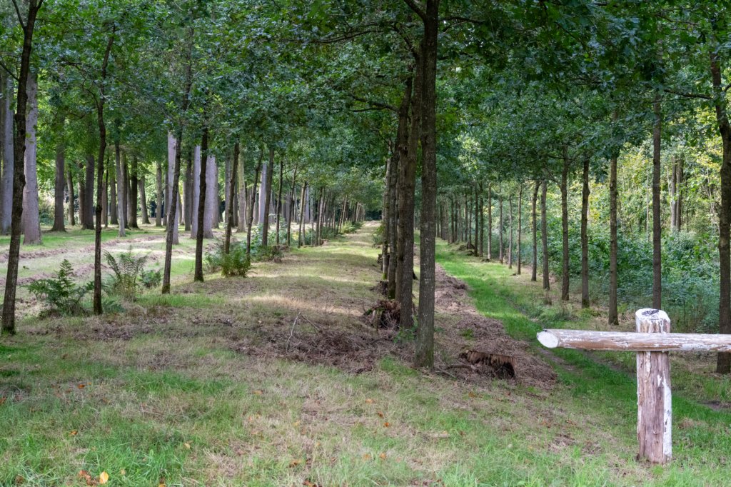 ommen_004.jpg
