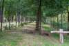 ommen_004_small.jpg