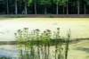 ommen_007_small.jpg