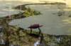 ommen_008_small.jpg