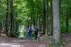ommen_010_small.jpg