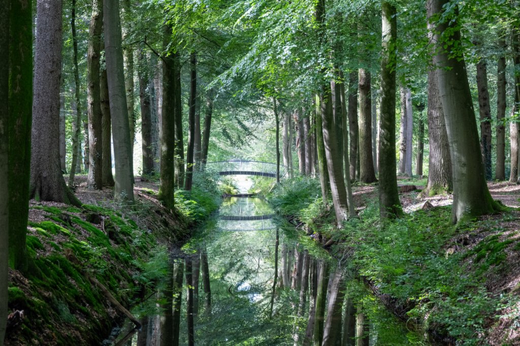 ommen_011.jpg