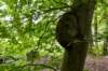 ommen_012_small.jpg