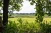 ommen_013_small.jpg