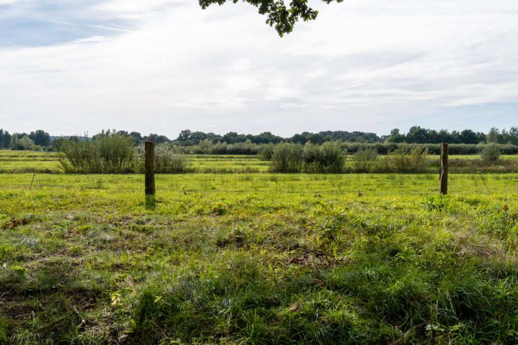 ommen_015.jpg