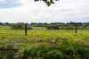 ommen_015_small.jpg