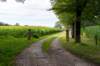 ommen_017_small.jpg