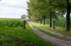 ommen_018_small.jpg