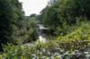 ommen_019_small.jpg