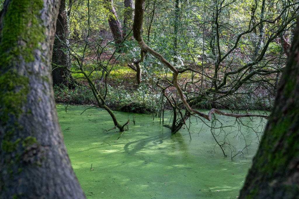 ommen_022.jpg