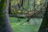 ommen_022_small.jpg