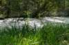 ommen_023_small.jpg