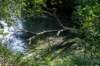ommen_024_small.jpg