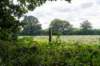 ommen_027_small.jpg