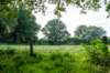 ommen_029_small.jpg