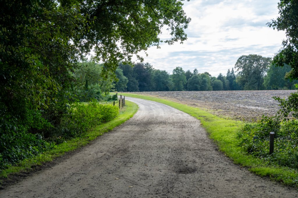 ommen_030.jpg