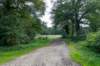 ommen_031_small.jpg