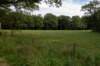 ommen_033_small.jpg