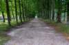 ommen_034_small.jpg