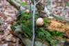 ommen_036_small.jpg