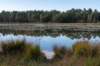 ommen_037_small.jpg