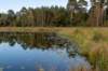 ommen_038_small.jpg