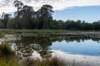 ommen_039_small.jpg