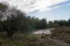 ommen_041_small.jpg