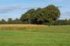 ommen_042_small.jpg
