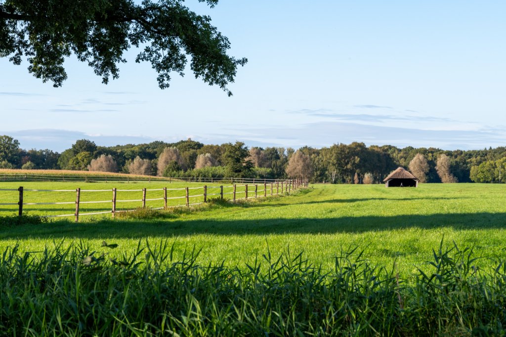ommen_043.jpg
