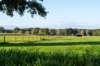 ommen_043_small.jpg