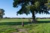 ommen_044_small.jpg