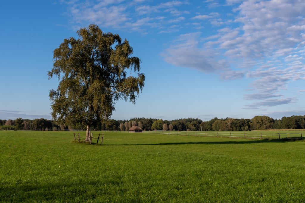 ommen_045.jpg