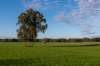 ommen_045_small.jpg