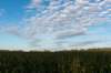 ommen_046_small.jpg