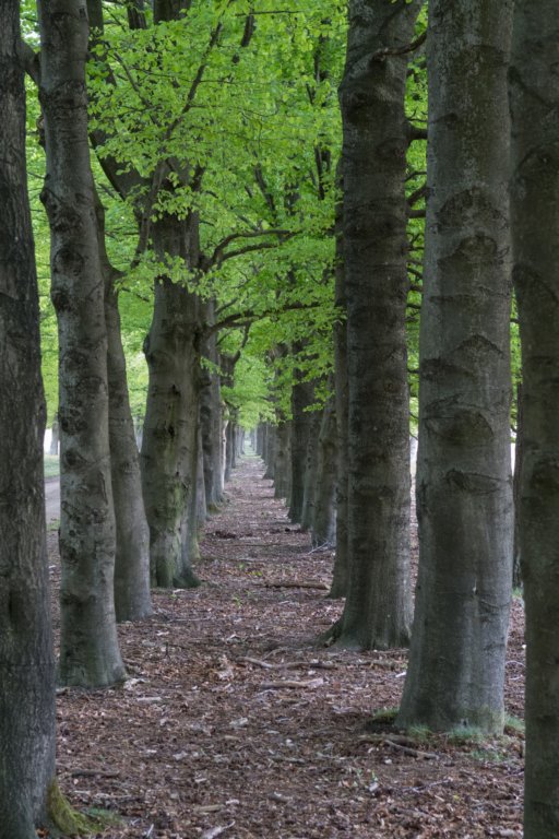 plankenwarmbuis_005.jpg