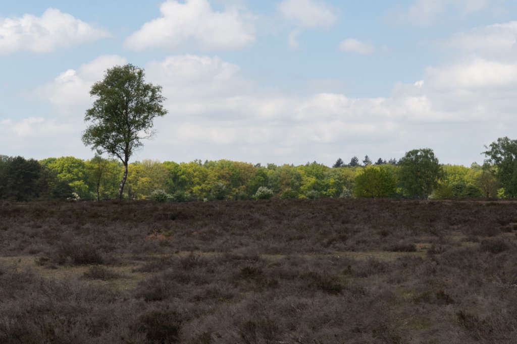 plankenwarmbuis_009.jpg