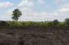 plankenwarmbuis_009_small.jpg